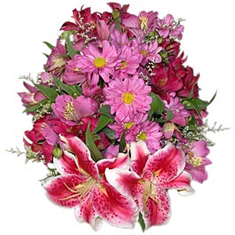 lilies & Gerbers